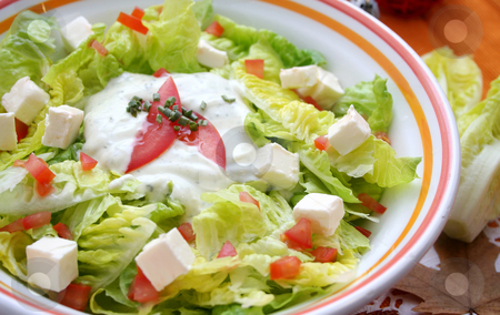 To use this stock image in your creative project, please select the size you need over to the right and click the "Add to Cart" button.
Your downloaded image will come with the Cutcaster watermark removed so don’t worry about the watermark you see on this page. Fresh salad stock photo, Fresh salad with cheese by Yvonne Bogdanski
