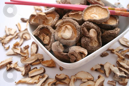 To use this stock image in your creative project, please select the size you need over to the right and click the "Add to Cart" button.
Your downloaded image will come with the Cutcaster watermark removed so don’t worry about the watermark you see on this page. Asian mushrooms stock photo, Asian mushrooms by Yvonne Bogdanski