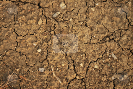To use this stock image in your creative project, please select the size you need over to the right and click the "Add to Cart" button.
Your downloaded image will come with the Cutcaster watermark removed so don’t worry about the watermark you see on this page. Land Texture stock photo, Shot of a dry land with many cracks and rocks by Tudor Antonel adrian