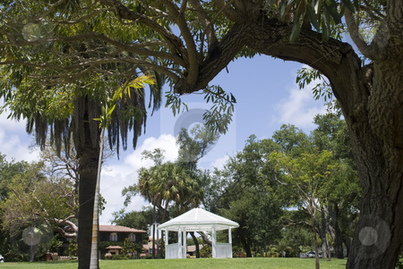 To use this stock image in your creative project, please select the size you need over to the right and click the "Add to Cart" button.
Your downloaded image will come with the Cutcaster watermark removed so don’t worry about the watermark you see on this page. Gazebo in the park stock photo, A gazebo in the park in florida by Robert Cabrera