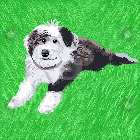 To use this stock image in your creative project, please select the size you need over to the right and click the "Add to Cart" button.
Your downloaded image will come with the Cutcaster watermark removed so don’t worry about the watermark you see on this page. Sheepdog puppy lying in the grass stock photo, A happy sheepdog puppy happily lying in the grass. by Karen Carter