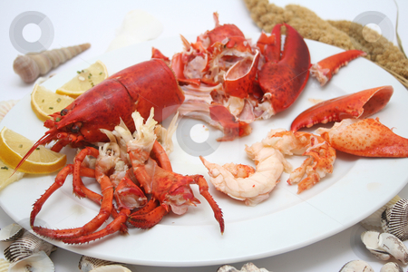To use this stock image in your creative project, please select the size you need over to the right and click the "Add to Cart" button.
Your downloaded image will come with the Cutcaster watermark removed so don’t worry about the watermark you see on this page. Lobster meal stock photo, Lobster meal by Yvonne Bogdanski