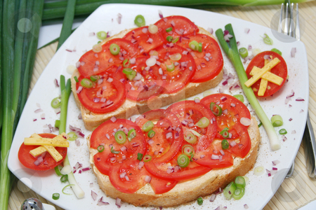 To use this stock image in your creative project, please select the size you need over to the right and click the "Add to Cart" button.
Your downloaded image will come with the Cutcaster watermark removed so don’t worry about the watermark you see on this page. Breakfast stock photo, Bread with tomatoes by Yvonne Bogdanski