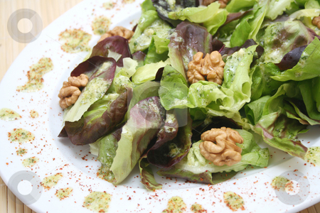 To use this stock image in your creative project, please select the size you need over to the right and click the "Add to Cart" button.
Your downloaded image will come with the Cutcaster watermark removed so don’t worry about the watermark you see on this page. Salad with walnuts stock photo, Salad with walnuts by Yvonne Bogdanski