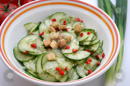 To use this stock image in your creative project, please select the size you need over to the right and click the "Add to Cart" button.
Your downloaded image will come with the Cutcaster watermark removed so don’t worry about the watermark you see on this page. Fresh salad stock photo, Fresh salad of cucumbers by Yvonne Bogdanski