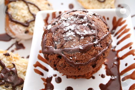 To use this stock image in your creative project, please select the size you need over to the right and click the "Add to Cart" button.
Your downloaded image will come with the Cutcaster watermark removed so don’t worry about the watermark you see on this page. Muffin stock photo, Chocolate muffin by Yvonne Bogdanski