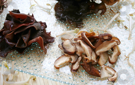 To use this stock image in your creative project, please select the size you need over to the right and click the "Add to Cart" button.
Your downloaded image will come with the Cutcaster watermark removed so don’t worry about the watermark you see on this page. Asian mushrooms stock photo, Asian mushrooms by Yvonne Bogdanski