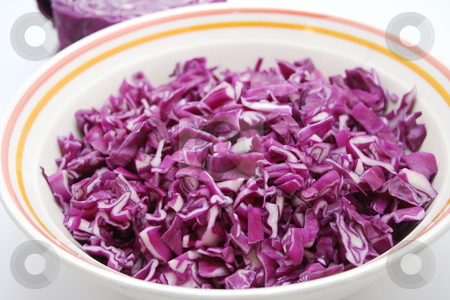 To use this stock image in your creative project, please select the size you need over to the right and click the "Add to Cart" button.
Your downloaded image will come with the Cutcaster watermark removed so don’t worry about the watermark you see on this page. Red cabbage stock photo, Red cabbage by Yvonne Bogdanski
