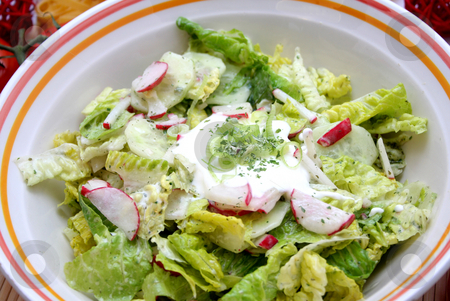 To use this stock image in your creative project, please select the size you need over to the right and click the "Add to Cart" button.
Your downloaded image will come with the Cutcaster watermark removed so don’t worry about the watermark you see on this page. Mixed salad stock photo, Mixed salad by Yvonne Bogdanski