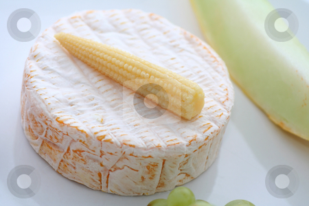 To use this stock image in your creative project, please select the size you need over to the right and click the "Add to Cart" button.
Your downloaded image will come with the Cutcaster watermark removed so don’t worry about the watermark you see on this page. Cheese stock photo, by Yvonne Bogdanski