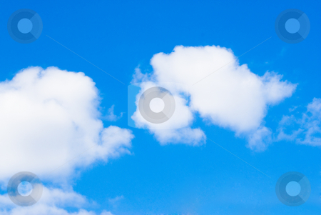 To use this stock image in your creative project, please select the size you need over to the right and click the "Add to Cart" button.
Your downloaded image will come with the Cutcaster watermark removed so don’t worry about the watermark you see on this page. Fluffy Clouds stock photo, Fluffy clouds shot in a blue sky on a sunny day by Richard Nelson