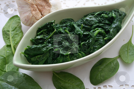 To use this stock image in your creative project, please select the size you need over to the right and click the "Add to Cart" button.
Your downloaded image will come with the Cutcaster watermark removed so don’t worry about the watermark you see on this page. Fresh spinach stock photo, by Yvonne Bogdanski