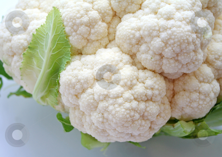 To use this stock image in your creative project, please select the size you need over to the right and click the "Add to Cart" button.
Your downloaded image will come with the Cutcaster watermark removed so don’t worry about the watermark you see on this page. Cauliflower stock photo, by Yvonne Bogdanski