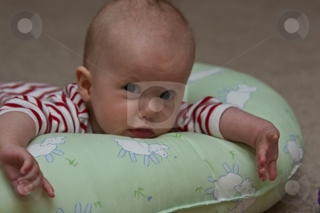 To use this stock image in your creative project, please select the size you need over to the right and click the "Add to Cart" button.
Your downloaded image will come with the Cutcaster watermark removed so don’t worry about the watermark you see on this page. Playtime stock photo, Caucasian baby girl playing on her colorful playmat. by Mariusz Jurgielewicz
