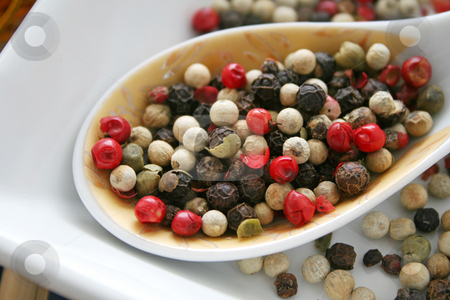 To use this stock image in your creative project, please select the size you need over to the right and click the "Add to Cart" button.
Your downloaded image will come with the Cutcaster watermark removed so don’t worry about the watermark you see on this page. Pepper seeds stock photo, by Yvonne Bogdanski