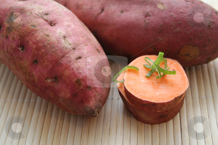 To use this stock image in your creative project, please select the size you need over to the right and click the "Add to Cart" button.
Your downloaded image will come with the Cutcaster watermark removed so don’t worry about the watermark you see on this page. Sweet potatoes stock photo, by Yvonne Bogdanski