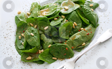 To use this stock image in your creative project, please select the size you need over to the right and click the "Add to Cart" button.
Your downloaded image will come with the Cutcaster watermark removed so don’t worry about the watermark you see on this page. Salad of spinach stock photo, by Yvonne Bogdanski