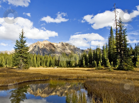 To use this stock image in your creative project, please select the size you need over to the right and click the "Add to Cart" button.
Your downloaded image will come with the Cutcaster watermark removed so don’t worry about the watermark you see on this page. Washington Pass stock photo, The wilderness marshes in Washington Pass, North Cascades national park by Corepics VOF