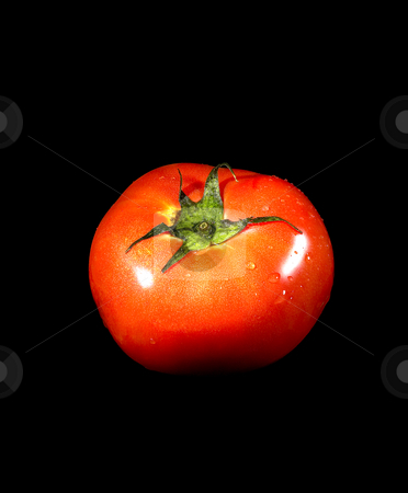 To use this stock image in your creative project, please select the size you need over to the right and click the "Add to Cart" button.
Your downloaded image will come with the Cutcaster watermark removed so don’t worry about the watermark you see on this page. Tomato on black stock photo, Fresh vivid ripe tomato over black background by Francesco Perre