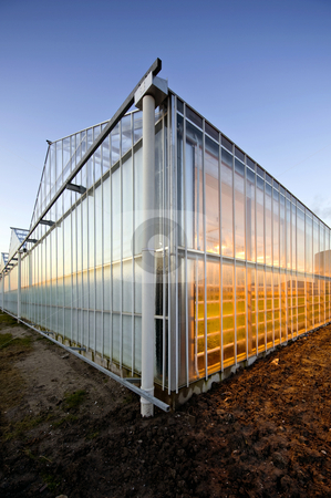 To use this stock image in your creative project, please select the size you need over to the right and click the "Add to Cart" button.
Your downloaded image will come with the Cutcaster watermark removed so don’t worry about the watermark you see on this page. Glasshouse at dusk stock photo, The exterior glass fascade of a huge glasshouse by Corepics VOF