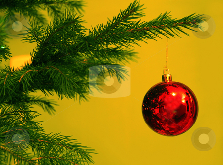 To use this stock image in your creative project, please select the size you need over to the right and click the "Add to Cart" button.
Your downloaded image will come with the Cutcaster watermark removed so don’t worry about the watermark you see on this page. Christmas ball stock photo, Christmas red ball on green new year tree over yellow by Julija Sapic