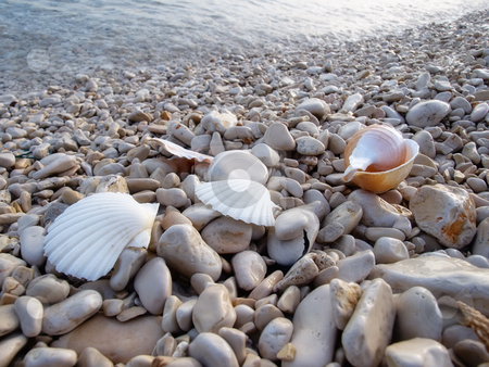 To use this stock image in your creative project, please select the size you need over to the right and click the "Add to Cart" button.
Your downloaded image will come with the Cutcaster watermark removed so don’t worry about the watermark you see on this page. Pebble beach stock photo, Closeup on details on the pebble beach somewhere on the Adriatic coastline by Sinisa Botas
