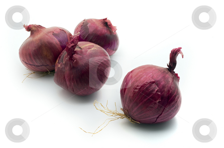 To use this stock image in your creative project, please select the size you need over to the right and click the "Add to Cart" button.
Your downloaded image will come with the Cutcaster watermark removed so don’t worry about the watermark you see on this page. Red purple onions stock photo, Group of purple onions isolated on white background by Noam Armonn