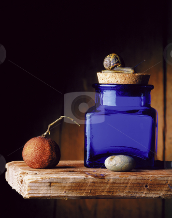 To use this stock image in your creative project, please select the size you need over to the right and click the "Add to Cart" button.
Your downloaded image will come with the Cutcaster watermark removed so don’t worry about the watermark you see on this page. Blue jar and snail stock photo, Still life of a snail on blue jar, dried tangerine and a small stone on a wooden shelf. by Noam Armonn