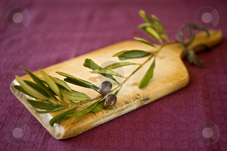 To use this stock image in your creative project, please select the size you need over to the right and click the "Add to Cart" button.
Your downloaded image will come with the Cutcaster watermark removed so don’t worry about the watermark you see on this page. Olives stock photo, Close up on black olives on branch by Noam Armonn