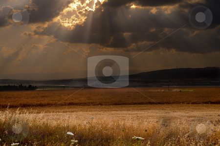 To use this stock image in your creative project, please select the size you need over to the right and click the "Add to Cart" button.
Your downloaded image will come with the Cutcaster watermark removed so don’t worry about the watermark you see on this page. Dramatic sunse stock photo, Dramatic sunset over the Izraeli valley in the lower Galilee Israel by Noam Armonn