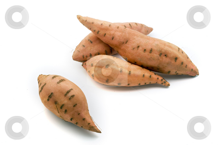 To use this stock image in your creative project, please select the size you need over to the right and click the "Add to Cart" button.
Your downloaded image will come with the Cutcaster watermark removed so don’t worry about the watermark you see on this page. Sweet potatos stock photo, Four sweet potatos isolated on white by Noam Armonn