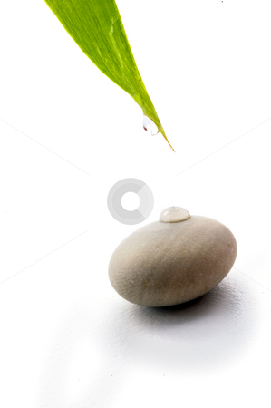 To use this stock image in your creative project, please select the size you need over to the right and click the "Add to Cart" button.
Your downloaded image will come with the Cutcaster watermark removed so don’t worry about the watermark you see on this page. Zen background stock photo, Drop of water from bamboo leav and on a stones isolated on white by Noam Armonn