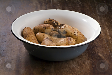 To use this stock image in your creative project, please select the size you need over to the right and click the "Add to Cart" button.
Your downloaded image will come with the Cutcaster watermark removed so don’t worry about the watermark you see on this page. Fresh Potatoes from the garden stock photo, Dirty potatoes in an old bowl on a wooden table by Noam Armonn