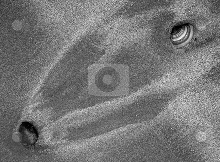 To use this stock image in your creative project, please select the size you need over to the right and click the "Add to Cart" button.
Your downloaded image will come with the Cutcaster watermark removed so don’t worry about the watermark you see on this page. Beach PAtterns stock photo, Rocks and shells and the patterns formed in the sand by the ebbing tides by Mike Dawson