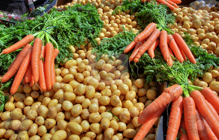 To use this stock image in your creative project, please select the size you need over to the right and click the "Add to Cart" button.
Your downloaded image will come with the Cutcaster watermark removed so don’t worry about the watermark you see on this page. Carrots and Potatoes stock photo, Fresh carrots and Potatoes on a market stall by Robert Ford
