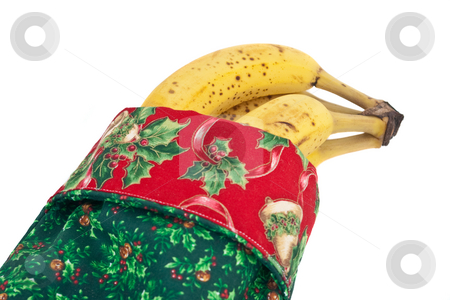 To use this stock image in your creative project, please select the size you need over to the right and click the "Add to Cart" button.
Your downloaded image will come with the Cutcaster watermark removed so don’t worry about the watermark you see on this page. Christmas Banannas stock photo, Christmas stocking full of delicious bananas by Steve Carroll