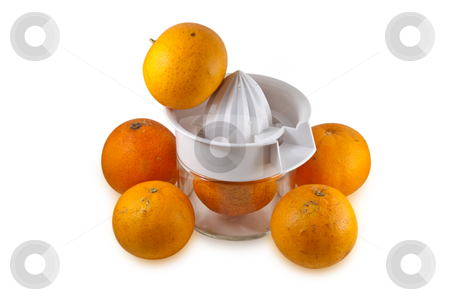 To use this stock image in your creative project, please select the size you need over to the right and click the "Add to Cart" button.
Your downloaded image will come with the Cutcaster watermark removed so don’t worry about the watermark you see on this page. Real Oranges isolated on white stock photo, Pile of real oranges, fresh from tree with normal scares and defects, piled around a hand juicer. Isolated on white background with clipping path. by Steve Carroll