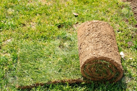 To use this stock image in your creative project, please select the size you need over to the right and click the "Add to Cart" button.
Your downloaded image will come with the Cutcaster watermark removed so don’t worry about the watermark you see on this page. Ball of gras stock photo, Ball of grass in sunny day readi to be seed by Juraj Kovacik