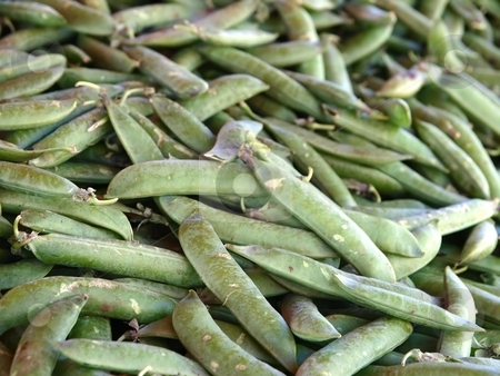 To use this stock image in your creative project, please select the size you need over to the right and click the "Add to Cart" button.
Your downloaded image will come with the Cutcaster watermark removed so don’t worry about the watermark you see on this page. Peas stock photo, Peas at the market by Lars Kastilan