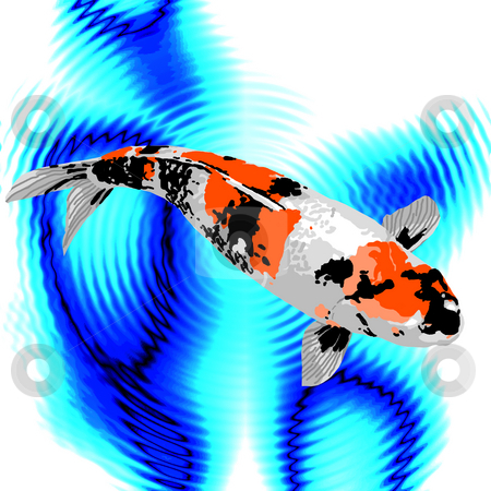 To use this stock image in your creative project, please select the size you need over to the right and click the "Add to Cart" button.
Your downloaded image will come with the Cutcaster watermark removed so don’t worry about the watermark you see on this page. Tri-color Koi stock photo, A black, orange, and white koi swimming peacefully in a pond. by Karen Carter