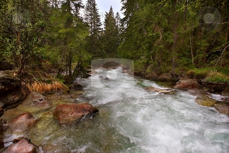 To use this stock image in your creative project, please select the size you need over to the right and click the "Add to Cart" button.
Your downloaded image will come with the Cutcaster watermark removed so don’t worry about the watermark you see on this page. Mountain creek with red stones stock photo, Mountain creek with red stones and green trees by Juraj Kovacik