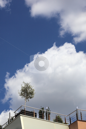 To use this stock image in your creative project, please select the size you need over to the right and click the "Add to Cart" button.
Your downloaded image will come with the Cutcaster watermark removed so don’t worry about the watermark you see on this page. Young tree on the roof of a business building - vertical stock photo, Young tree on the roof of a business building in vertical composition by Ivelin Radkov