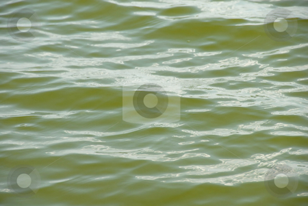 To use this stock image in your creative project, please select the size you need over to the right and click the "Add to Cart" button.
Your downloaded image will come with the Cutcaster watermark removed so don’t worry about the watermark you see on this page. Green water surface stock photo, Green lake water surface with light wave by Julija Sapic