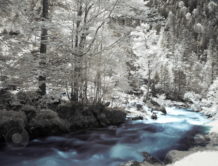 To use this stock image in your creative project, please select the size you need over to the right and click the "Add to Cart" button.
Your downloaded image will come with the Cutcaster watermark removed so don’t worry about the watermark you see on this page. Infrared landscape stock photo, Infrared picture of a beautiful forest with river flowing by Laurent Dambies