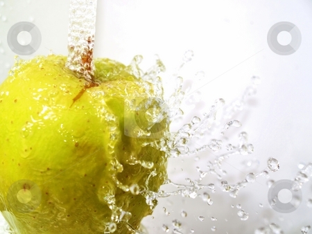To use this stock image in your creative project, please select the size you need over to the right and click the "Add to Cart" button.
Your downloaded image will come with the Cutcaster watermark removed so don’t worry about the watermark you see on this page. Sparkling apple stock photo, A green apple under a water fall, water drops bouncing off and frozen in midair by Arve Bettum