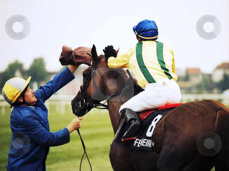 To use this stock image in your creative project, please select the size you need over to the right and click the "Add to Cart" button.
Your downloaded image will come with the Cutcaster watermark removed so don’t worry about the watermark you see on this page. Start stock photo, Race horse having problems entering the starting box by Andreas Brenner