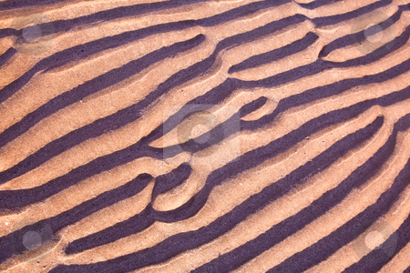 To use this stock image in your creative project, please select the size you need over to the right and click the "Add to Cart" button.
Your downloaded image will come with the Cutcaster watermark removed so don’t worry about the watermark you see on this page. Sand ripples stock photo, Sand ripples on beach creating nice patterns by Dirk Ercken