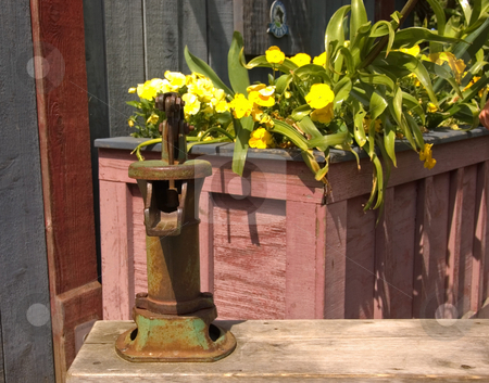 To use this stock image in your creative project, please select the size you need over to the right and click the "Add to Cart" button.
Your downloaded image will come with the Cutcaster watermark removed so don’t worry about the watermark you see on this page. Antique Hand Pump Next to Flowers stock photo, This antique old fashioned hand water pump is located next to a basket of bright yellow pansies. by Valerie Garner