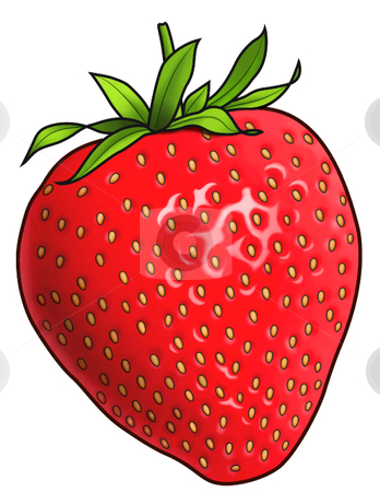 To use this stock image in your creative project, please select the size you need over to the right and click the "Add to Cart" button.
Your downloaded image will come with the Cutcaster watermark removed so don’t worry about the watermark you see on this page. Strawberry stock vector clipart, A vector illustration of a strawberry by Erasmo Hernandez