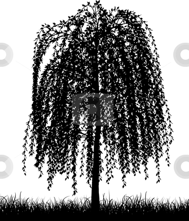 To use this stock image in your creative project, please select the size you need over to the right and click the "Add to Cart" button.
Your downloaded image will come with the Cutcaster watermark removed so don’t worry about the watermark you see on this page. Weeping willow stock vector clipart, Weeping willow tree by Kirsty Pargeter